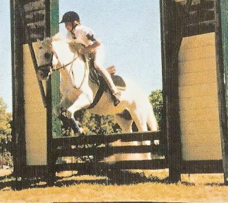 scan_118716352_1cropped