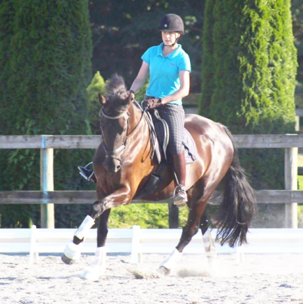 screen-shot-2017-01-14-at-8-08-57-am