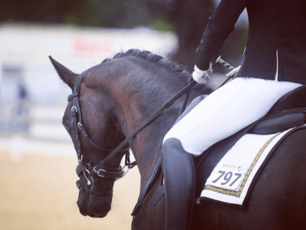 screen-shot-2017-01-14-at-8-11-26-am