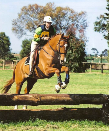 screen-shot-2017-01-15-at-8-00-31-am